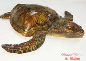 Airbrushed turtle sculpture
